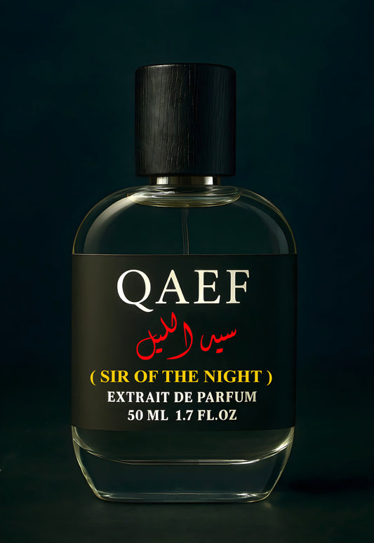 SIR OF THE NIGHT